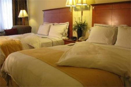 Charleston Airport Hotel นอร์ทชาร์ลส์ตัน ห้อง รูปภาพ